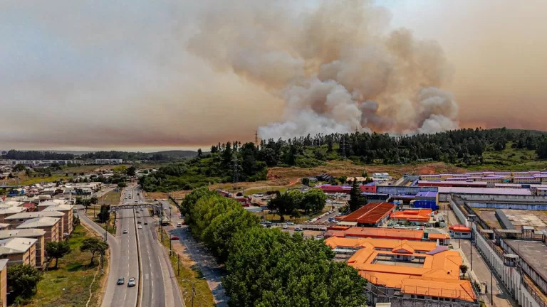 Incendios-forestales-2-2-768x432